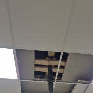 original-673232C4-1987-415E-9D17-436A170CC0F6